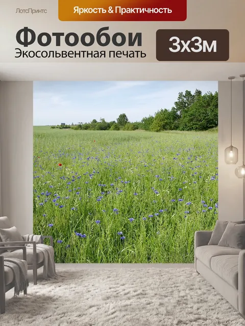 Фотообои Васильки
