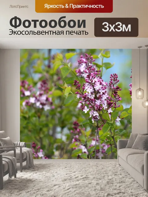 Фотообои Сирень