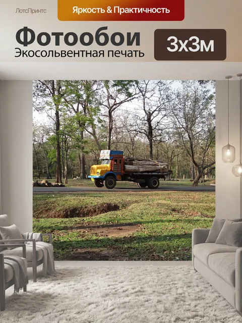 Фотообои Древесина