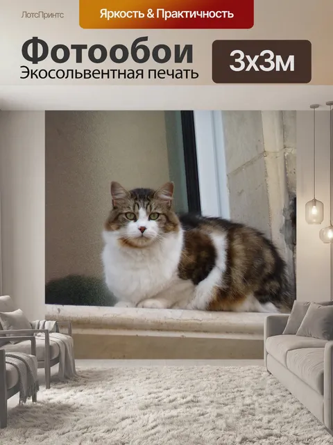 Фотообои Кошка