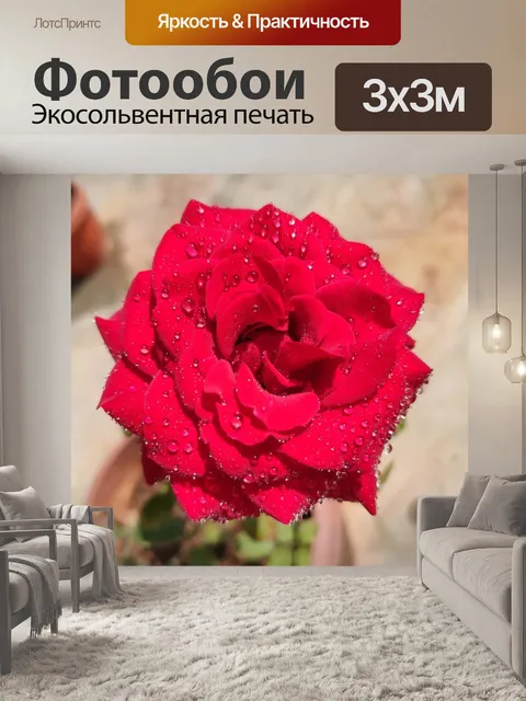 Фотообои Красная роза