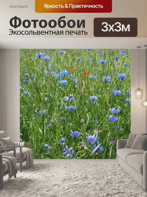 Фотообои Васильки