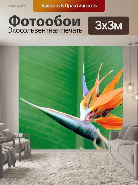 Фотообои Райская птица цветок