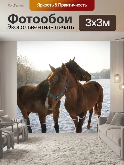 Фотообои Лошади
