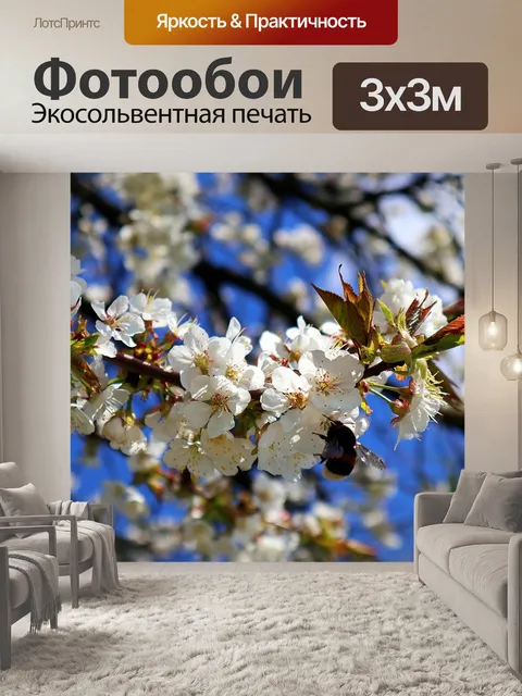 Фотообои Шмель