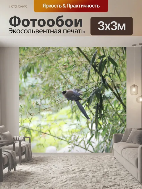 Фотообои Бамбуковый лес