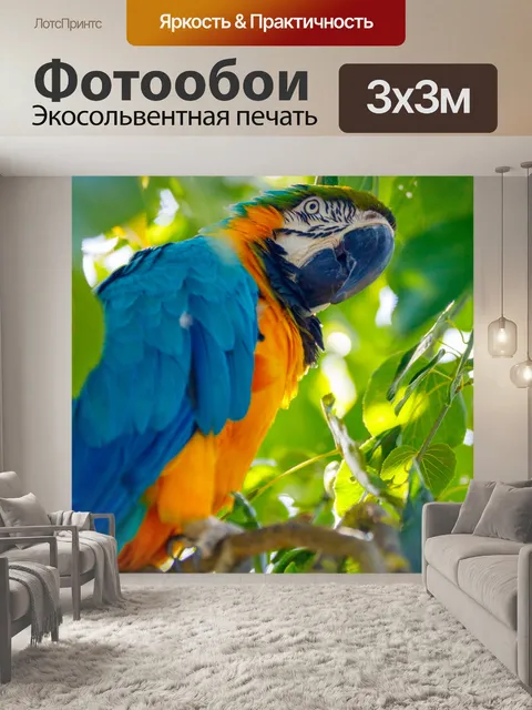 Фотообои Синий и желтый ара