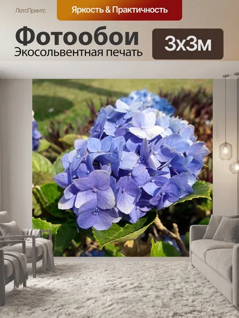 Фотообои Гортензия