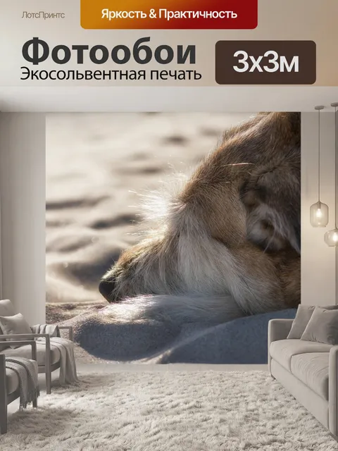 Фотообои Собака
