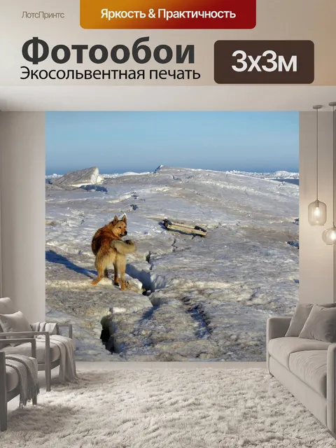 Фотообои Собака