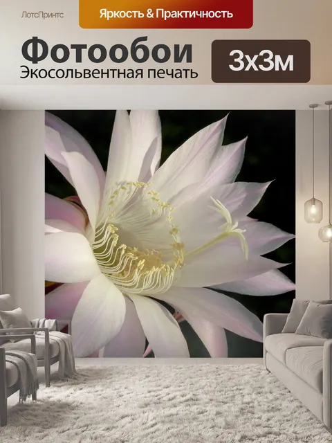 Фотообои Цветок