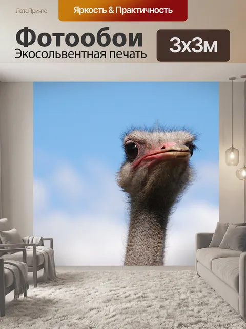 Фотообои Птица
