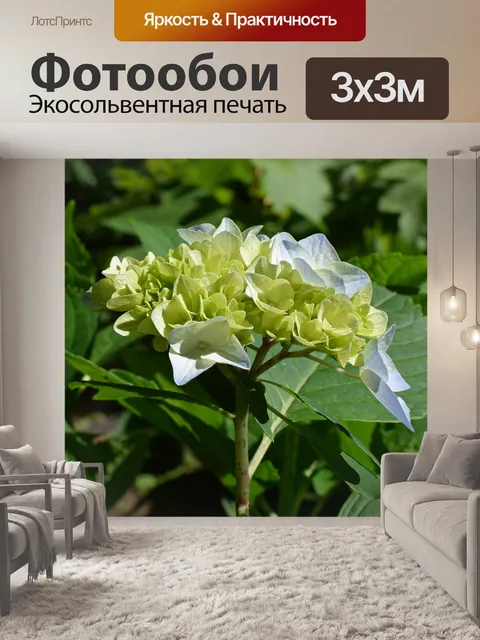 Фотообои Синий и желтый гортензия