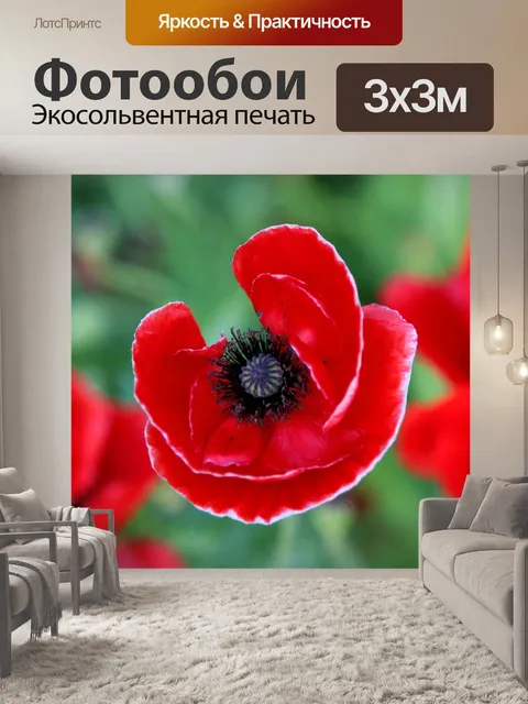 Фотообои Мак