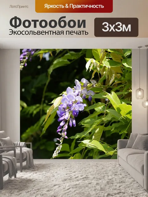 Фотообои Глициния