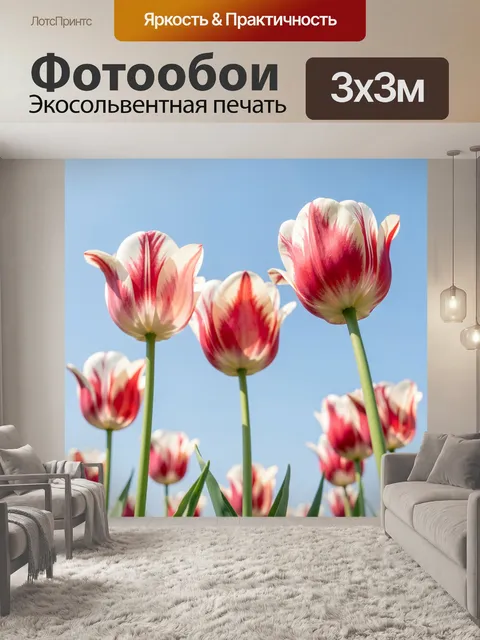 Фотообои Красно-белые тюльпаны в небе