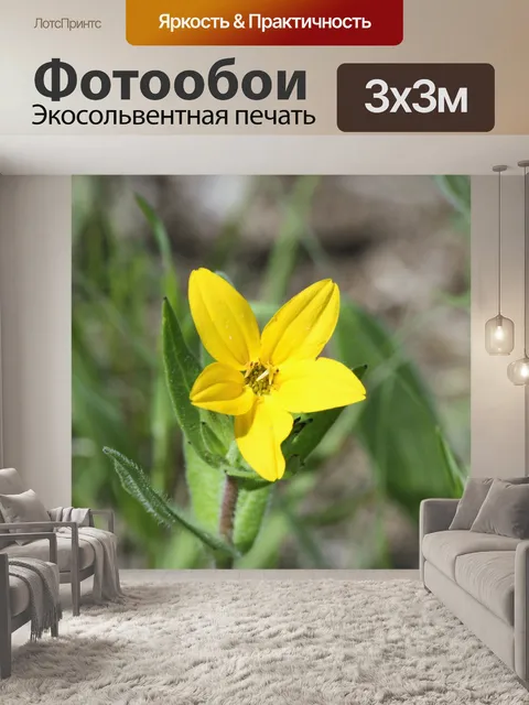 Фотообои Техасская желтая звезда Полевые цветы