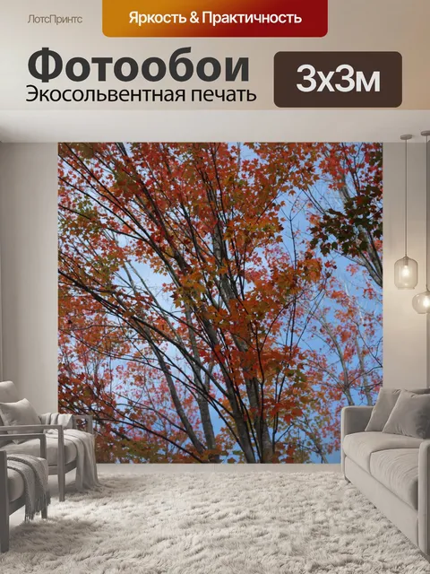 Фотообои Осенние краски