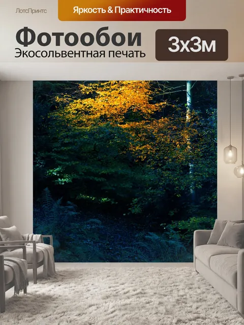 Фотообои свет на Осеннее дерево
