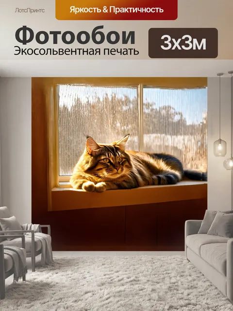Фотообои мейн-кун лежит на подоконнике