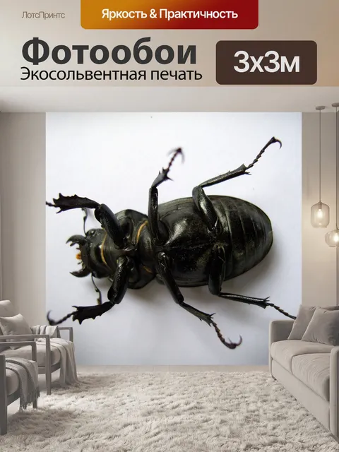 Фотообои Женский жук-олень