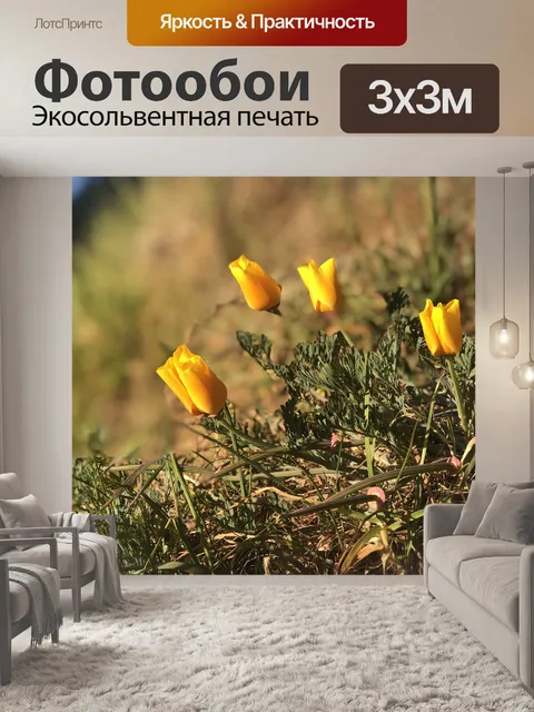 Фотообои Цветы