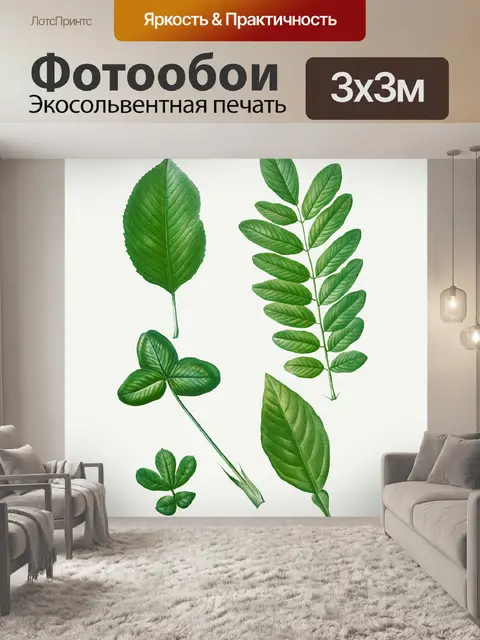 Фотообои Листья листва растения винтаж