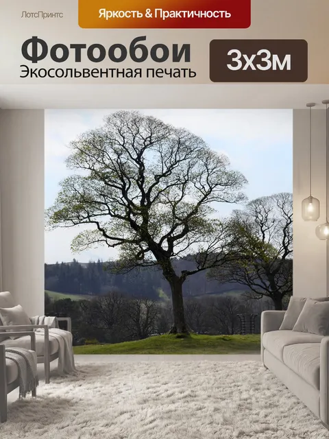 Фотообои Деревья