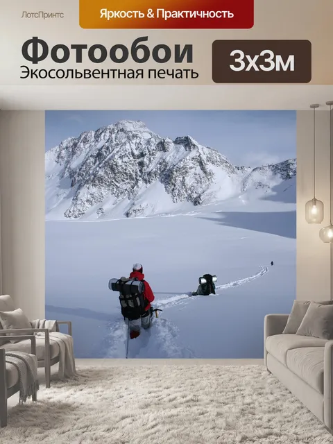 Фотообои Зимний поход