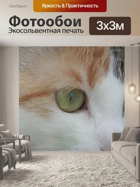 Фотообои Глаз кошки