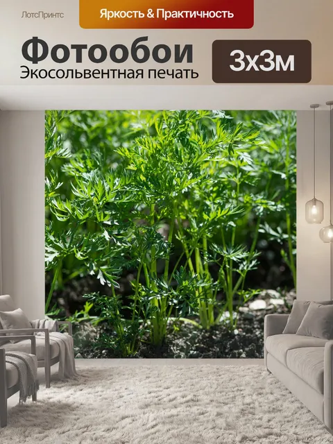 Фотообои Морковь