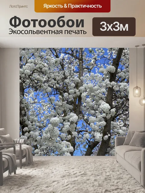 Фотообои Весна
