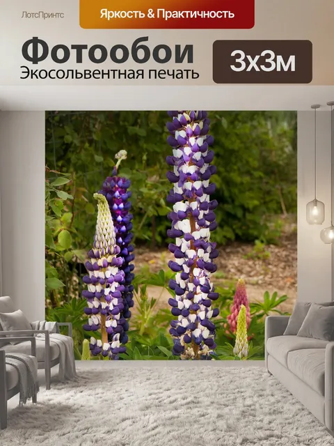 Фотообои Волчанка полифиллус
