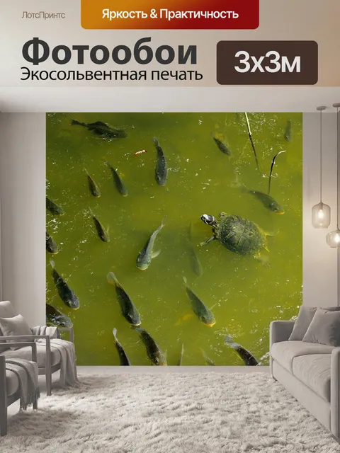 Фотообои Рыбы
