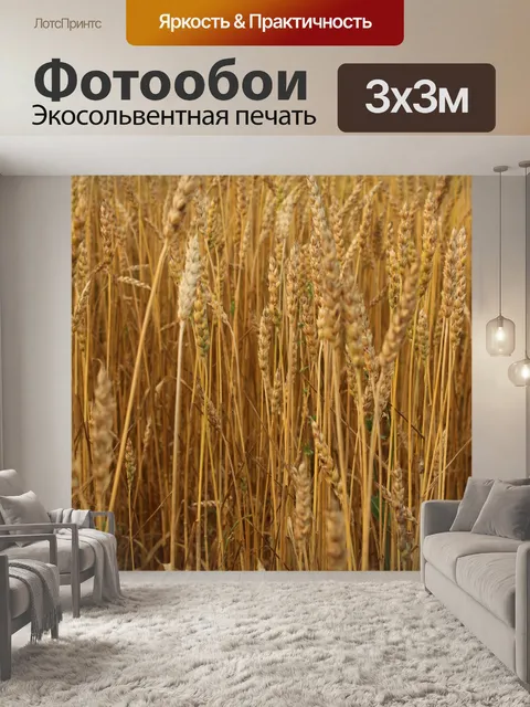 Фотообои Ферма Золотая пшеница