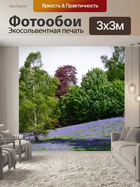 Фотообои Лавандовое поле данкельд шотландии