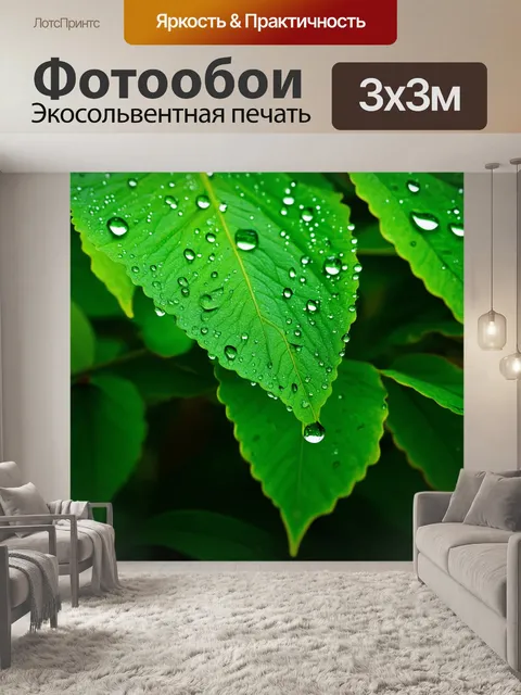 Фотообои вода, стекающая по свежим зеленым листьям после недавнего дождя