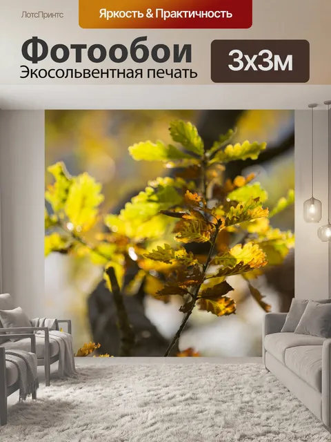 Фотообои Осенние листья