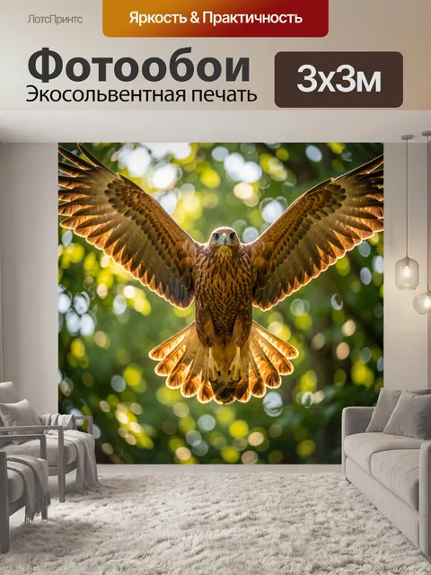 Фотообои Парящая хищная птица в лесу