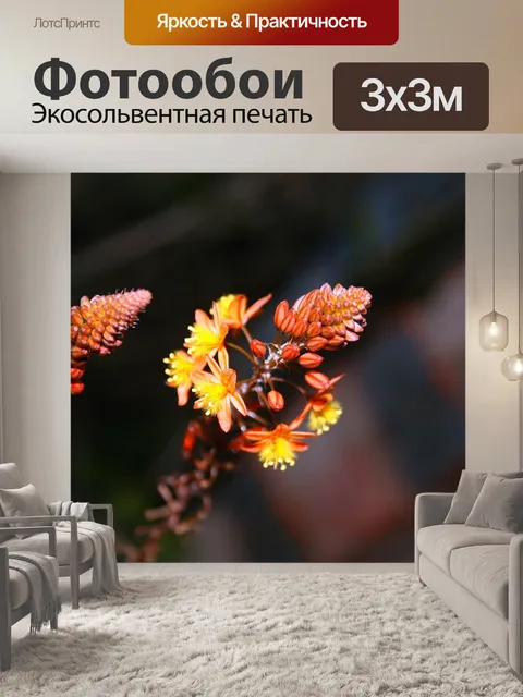 Фотообои Bulbinella почки