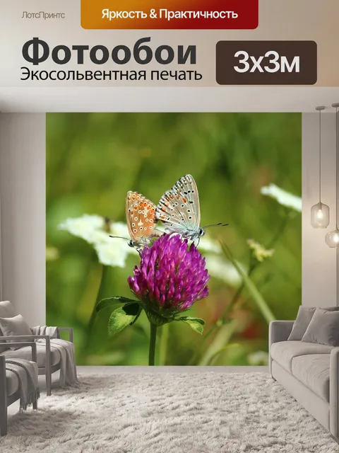 Фотообои Бабочки