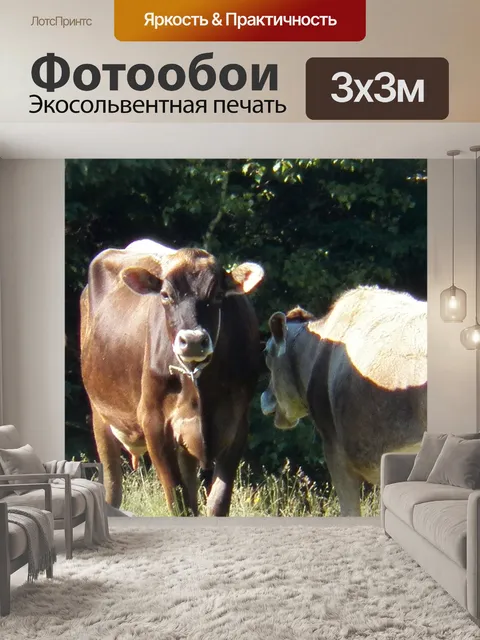 Фотообои две коровы