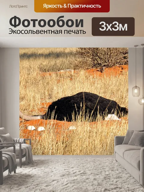 Фотообои Штраус