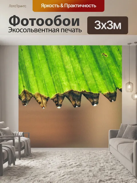 Фотообои Лист