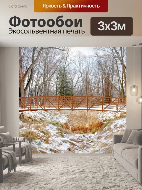Фотообои Пешеходный мост в зимний период