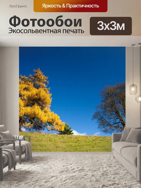 Фотообои Осень