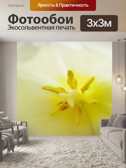 Фотообои Тюльпан