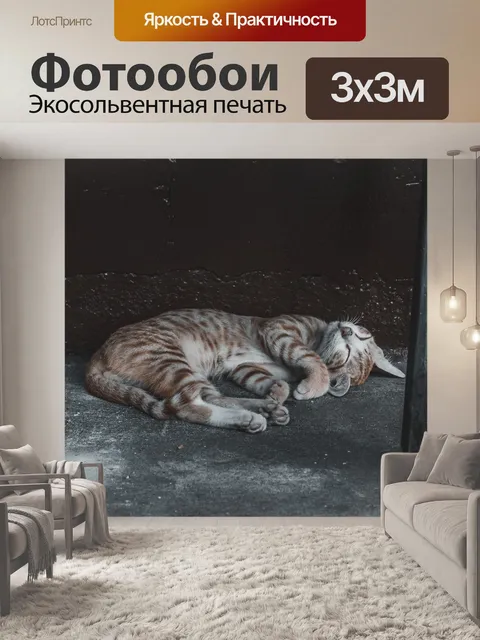 Фотообои Кошка