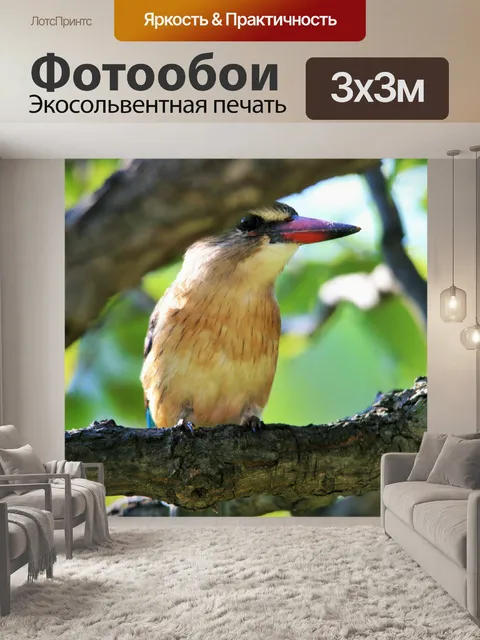 Фотообои коричневый с капюшоном King Fisher (2)