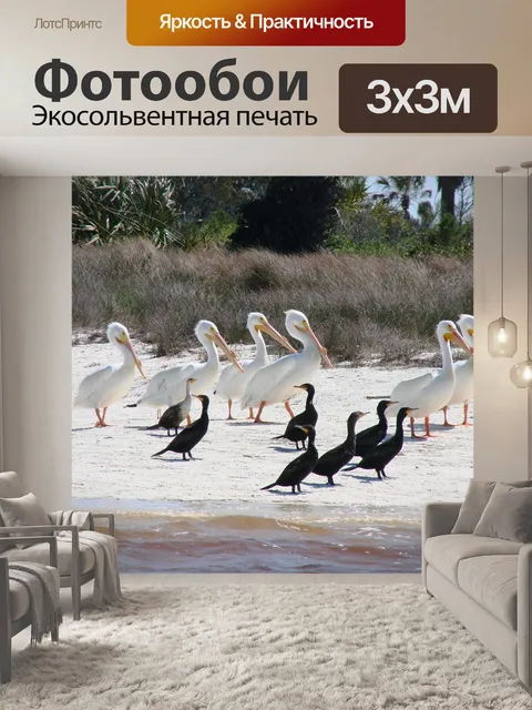 Фотообои Птицы